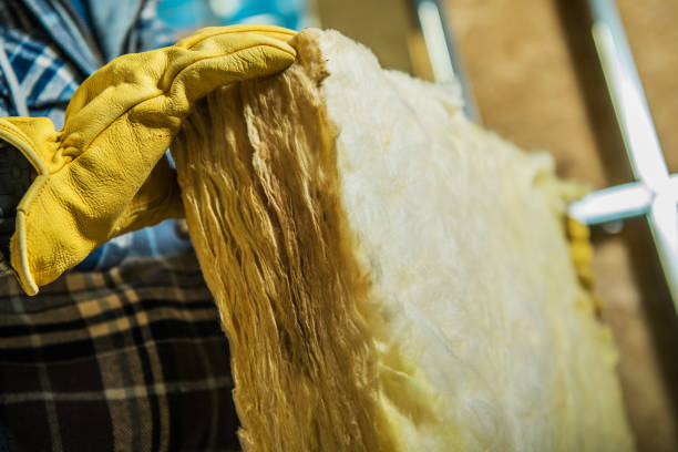 Professional Insulation Contractor in Robinhood, MS